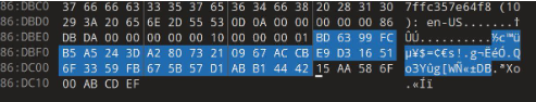 Figure 4 - Public encryption key